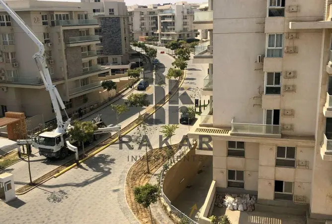 118288446 - Property Image 3