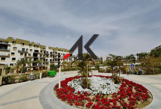 66166853 - Property Image 2