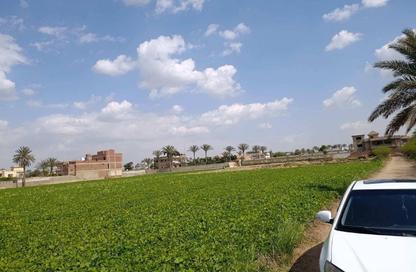 قطعة أرض - استوديو للبيع في المنصورية - حي الهرم - الجيزة