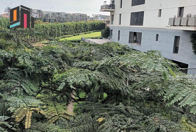 56495907 - صورة العقار 3