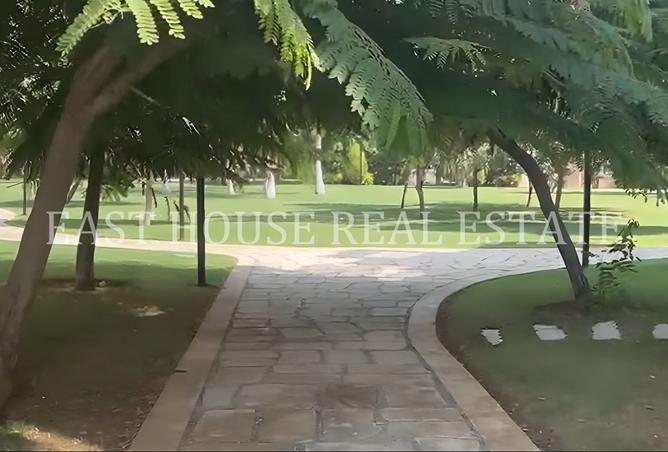 8495574 - صورة العقار 2