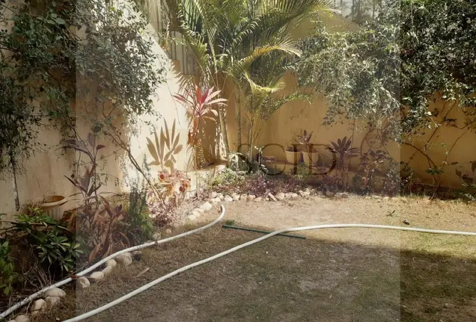 114082847 - صورة العقار 2