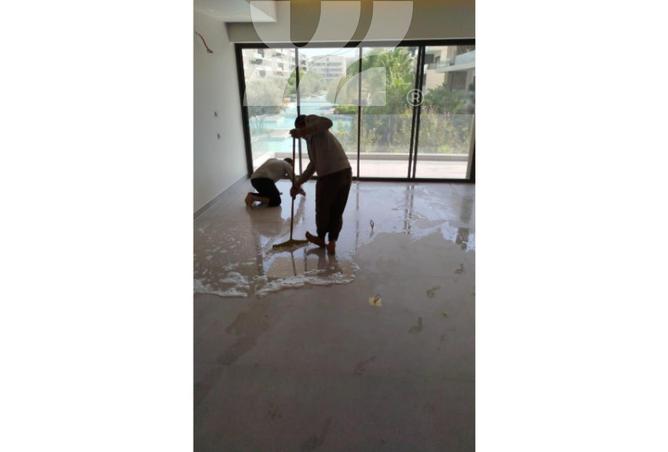 71649592 - Property Image 3