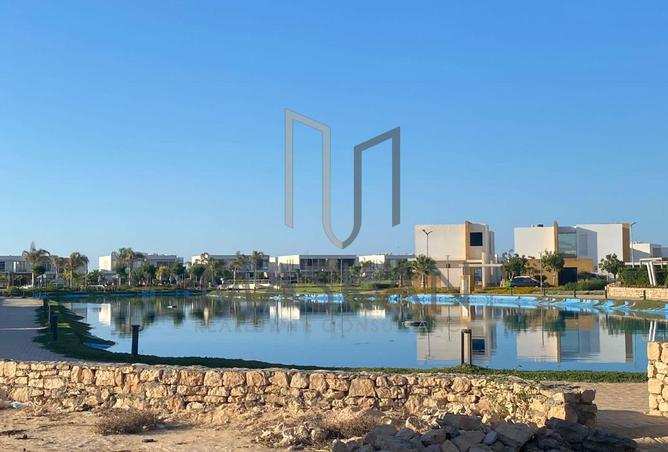101489224 - Property Image 3