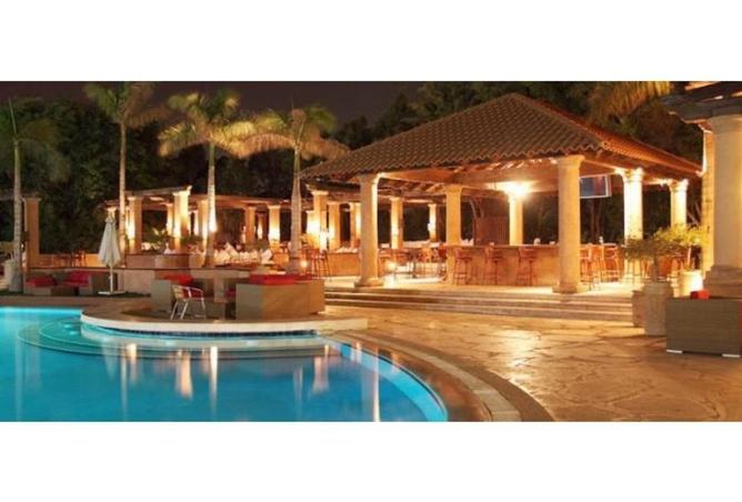 56009656 - صورة العقار 3