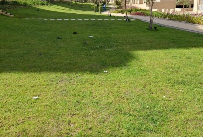 109339813 - صورة العقار 3