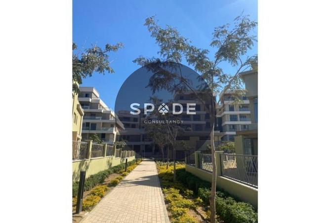 56495428 - Property Image 3