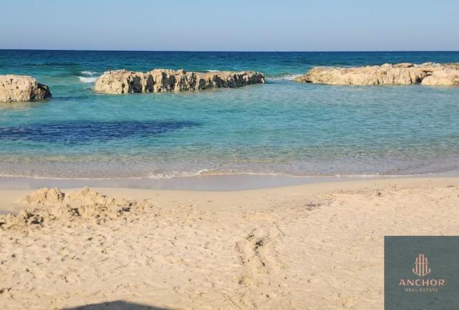 74579290 - Property Image 3
