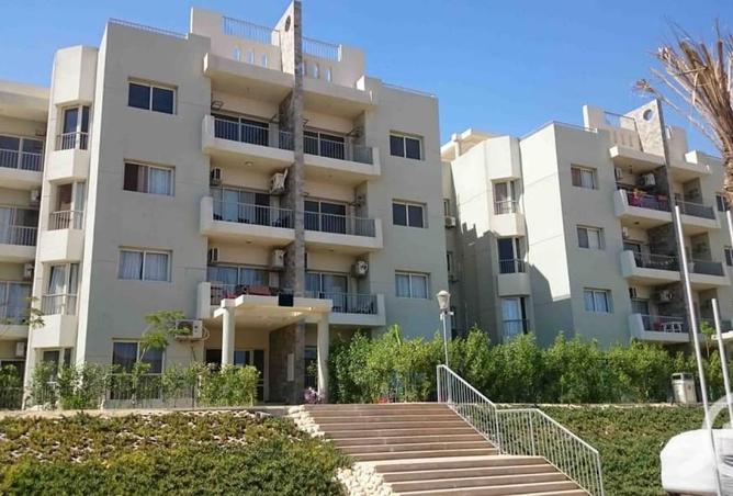 56252541 - Property Image 2