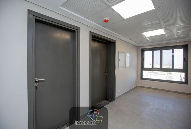 8642418 - Property Image 3