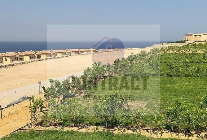 88685199 - Property Image 2