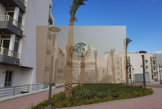 8719228 - Property Image 3