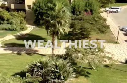 Apartment - 2 Bedrooms - 1 Bathroom for sale in Privado - Madinaty - Cairo