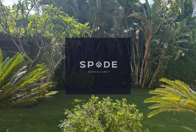 8619307 - صورة العقار 3