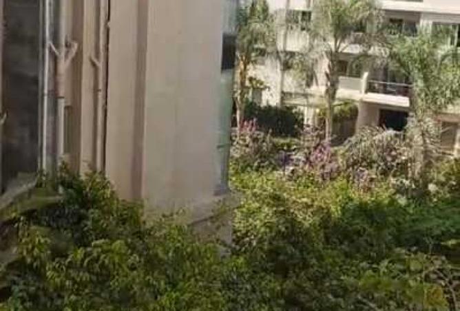 100926088 - الصورة الرئيسية للعقار