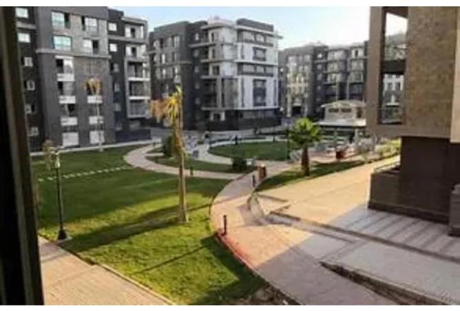 66702331 - Property Image 3