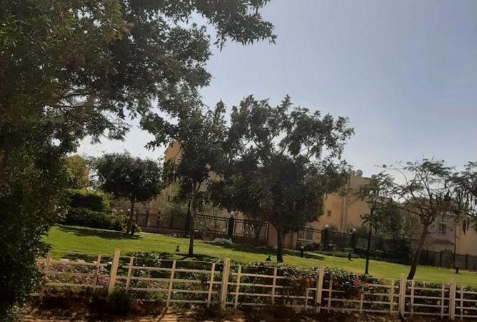 66171979 - صورة العقار 3