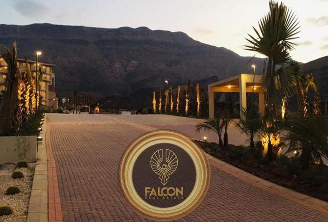 66696961 - صورة العقار 3