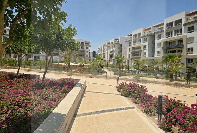 66437585 - الصورة الرئيسية للعقار