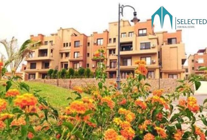 62408755 - Property Image 2