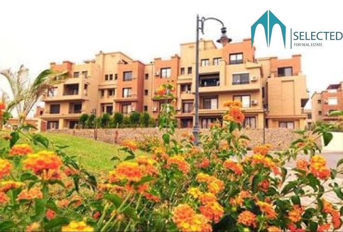 62408755 - Property Image 3