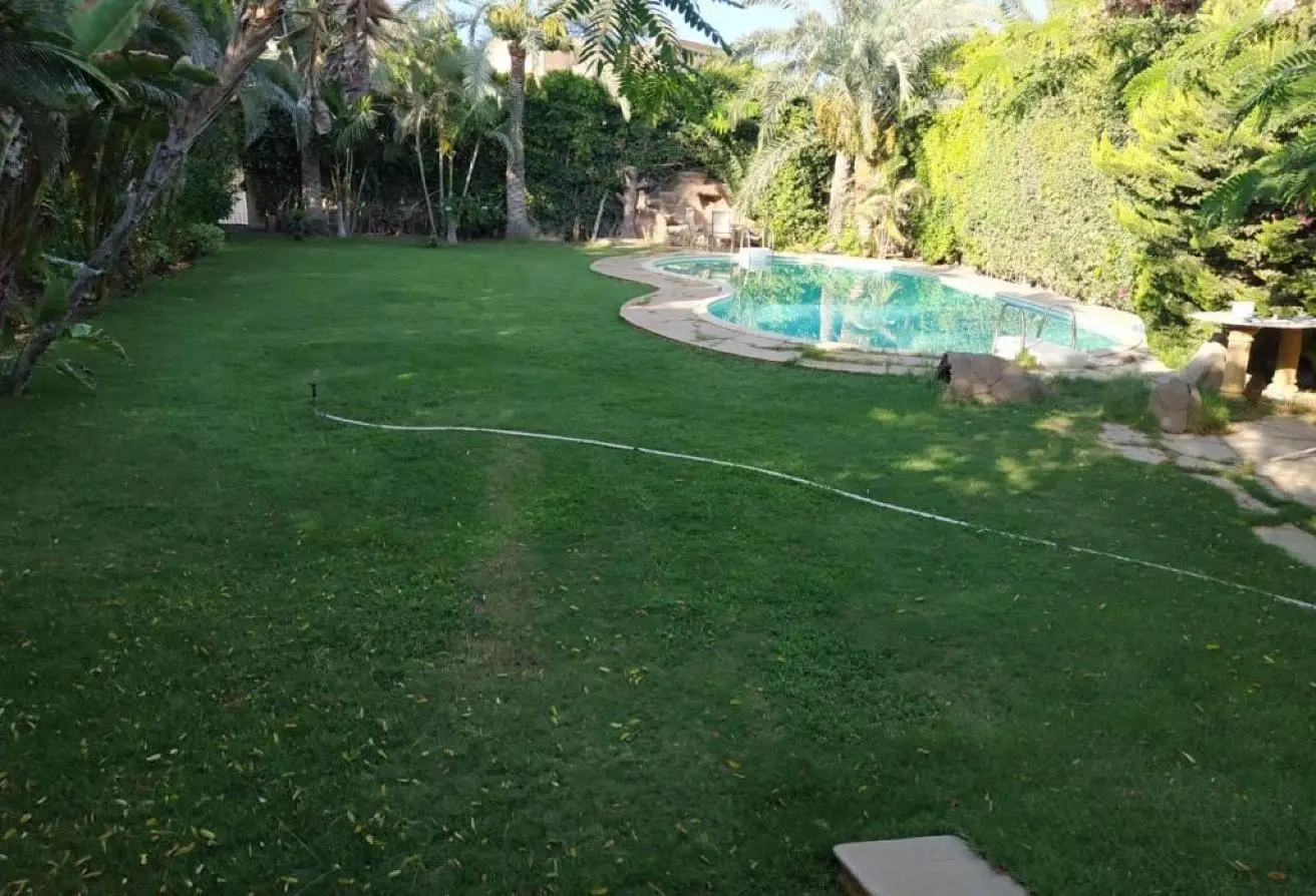 87989456 - الصورة الرئيسية للعقار