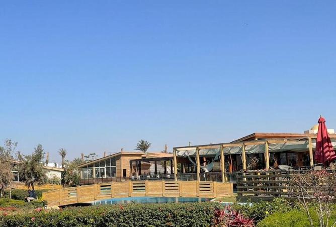 53724665 - صورة العقار 2