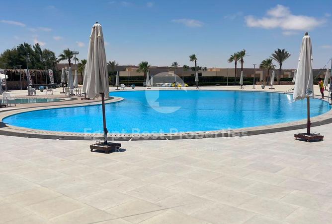 106858866 - Property Image 2