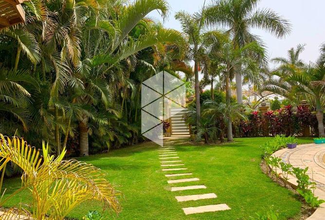 53983881 - Property Image 2