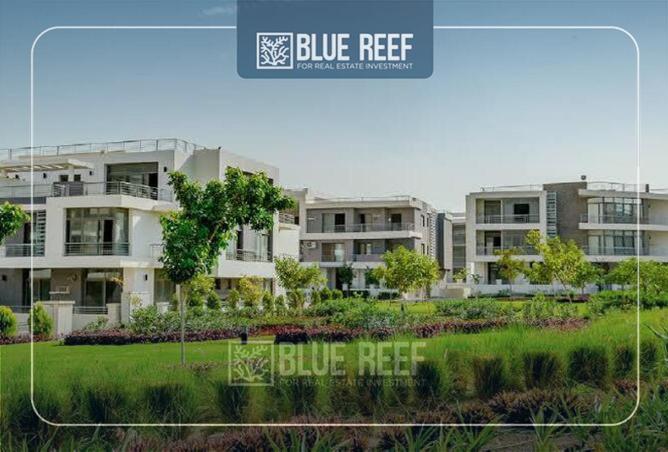 69833381 - صورة العقار 3