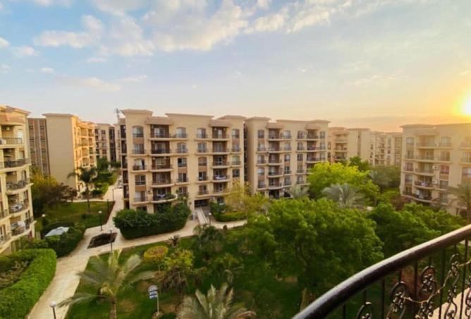 58993022 - صورة العقار 3