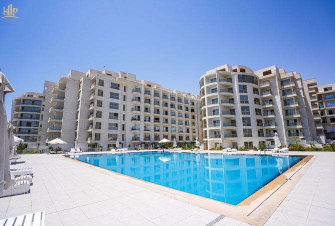 8392874 - صورة العقار 3