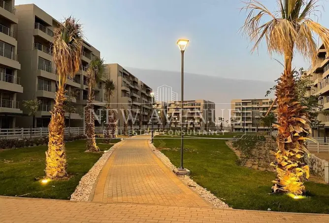 113252084 - Property Image 3