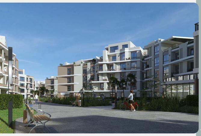 8473757 - Property Image 3