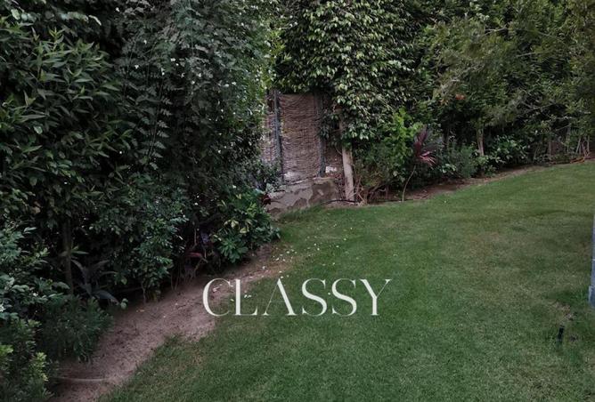 59737523 - Property Image 3