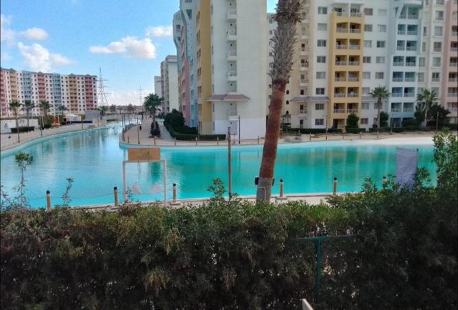 51171171 - Property Image 3