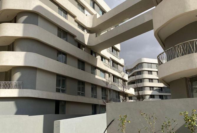 59745657 - Property Image 3