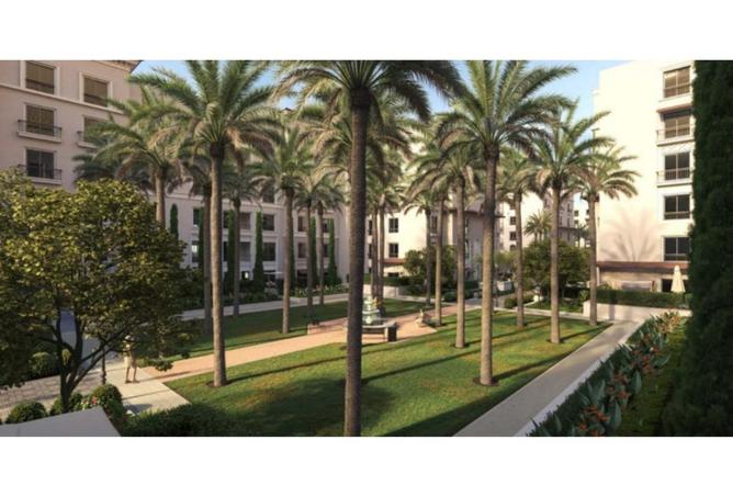 56246553 - صورة العقار 3