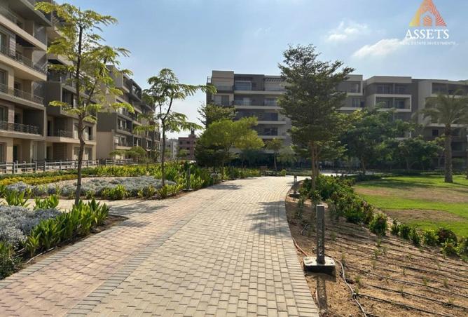 52718155 - صورة العقار 3