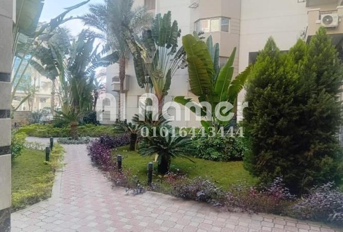 71921791 - Property Image 2