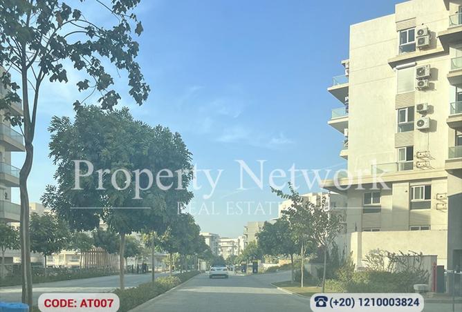 64385197 - Property Image 3