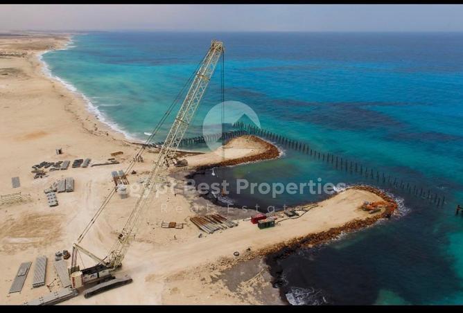 98006407 - صورة العقار 3