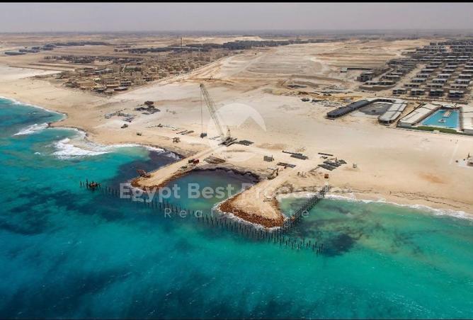 98006407 - صورة العقار 2