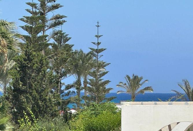 68785111 - صورة العقار 3