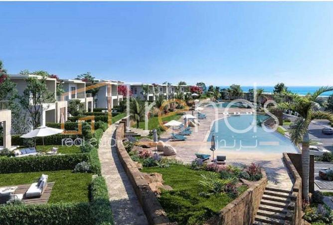 59739344 - Property Image 3