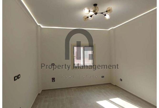 66173152 - صورة العقار 3