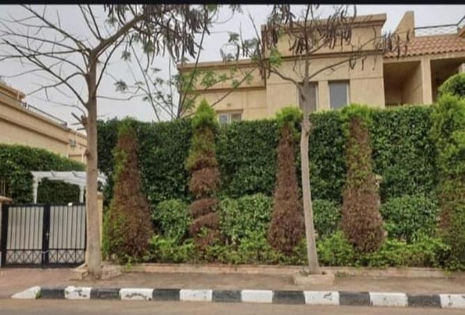 52192736 - صورة العقار 3