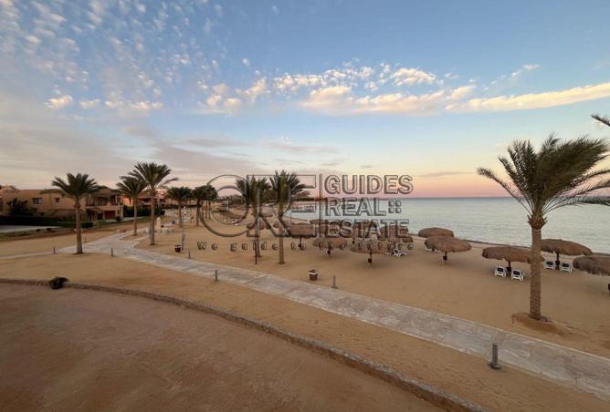 57240871 - Property Image 3