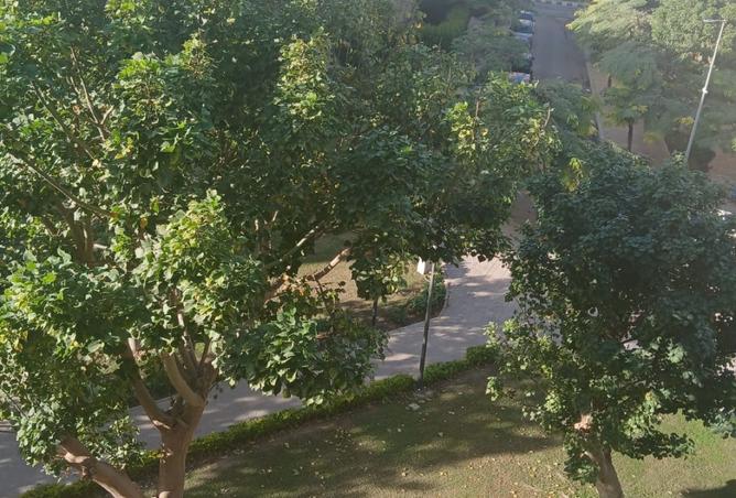 93538642 - صورة العقار 2