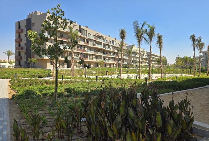 99120893 - Property Image 2